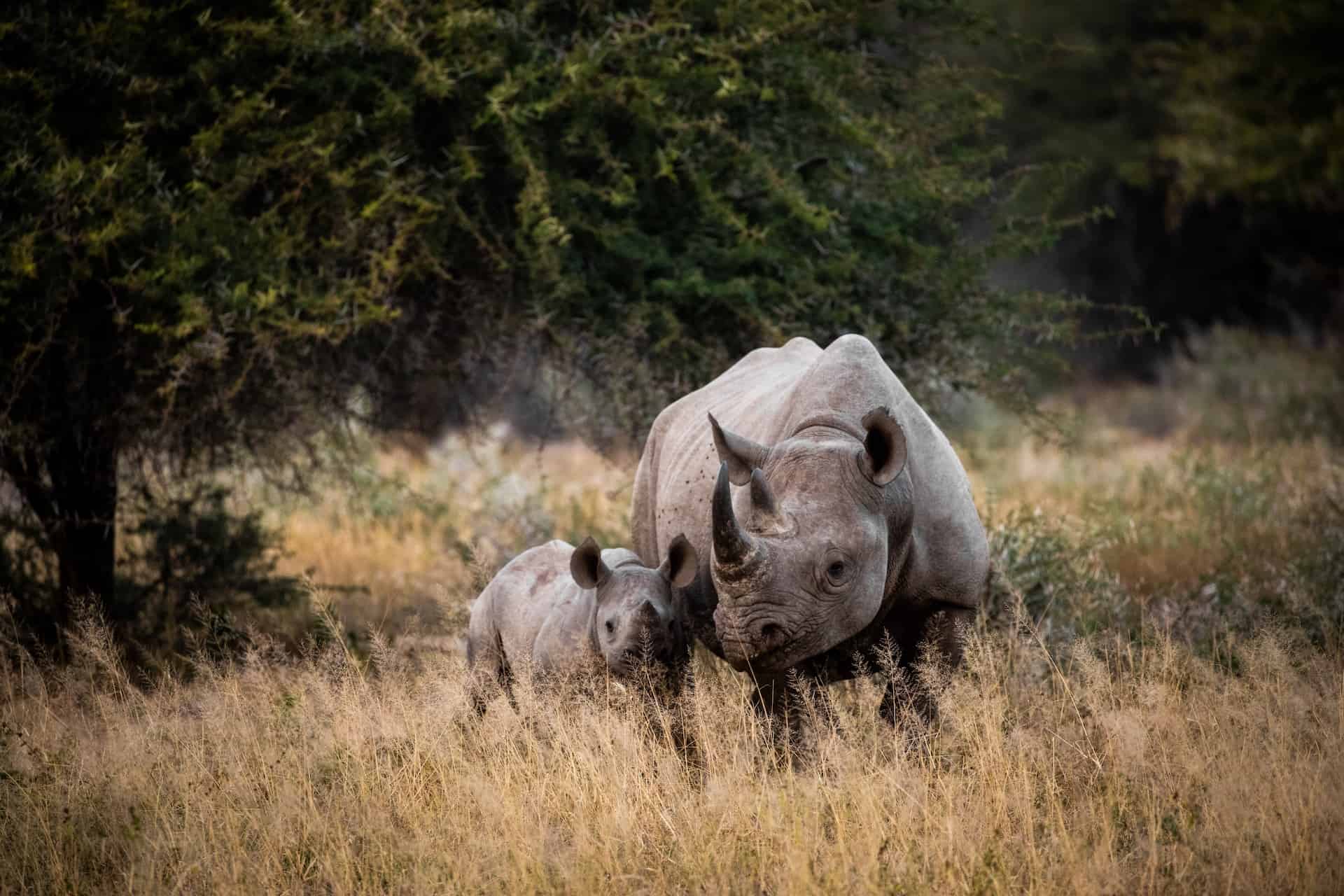 Kruger National Park