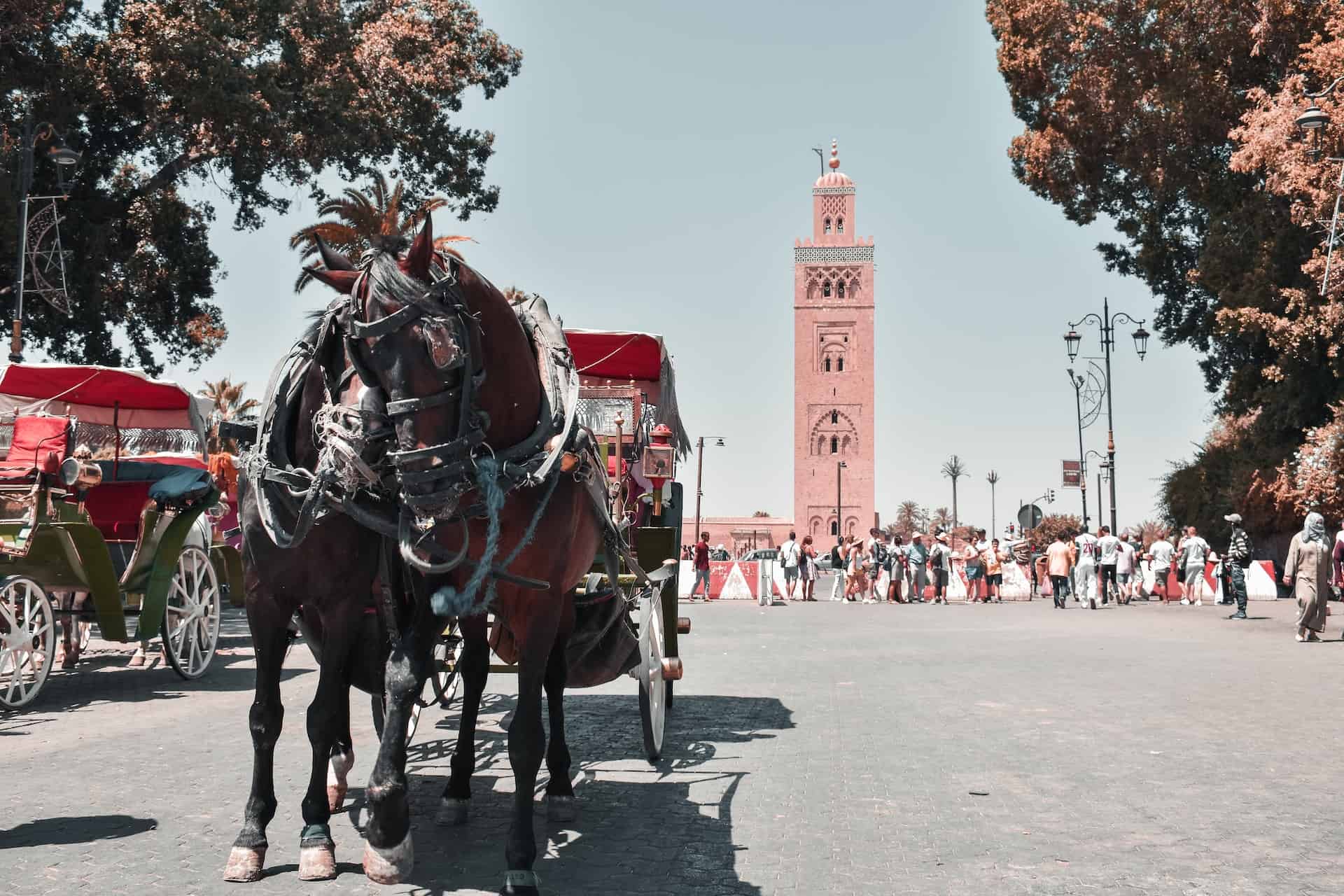 Marrakech